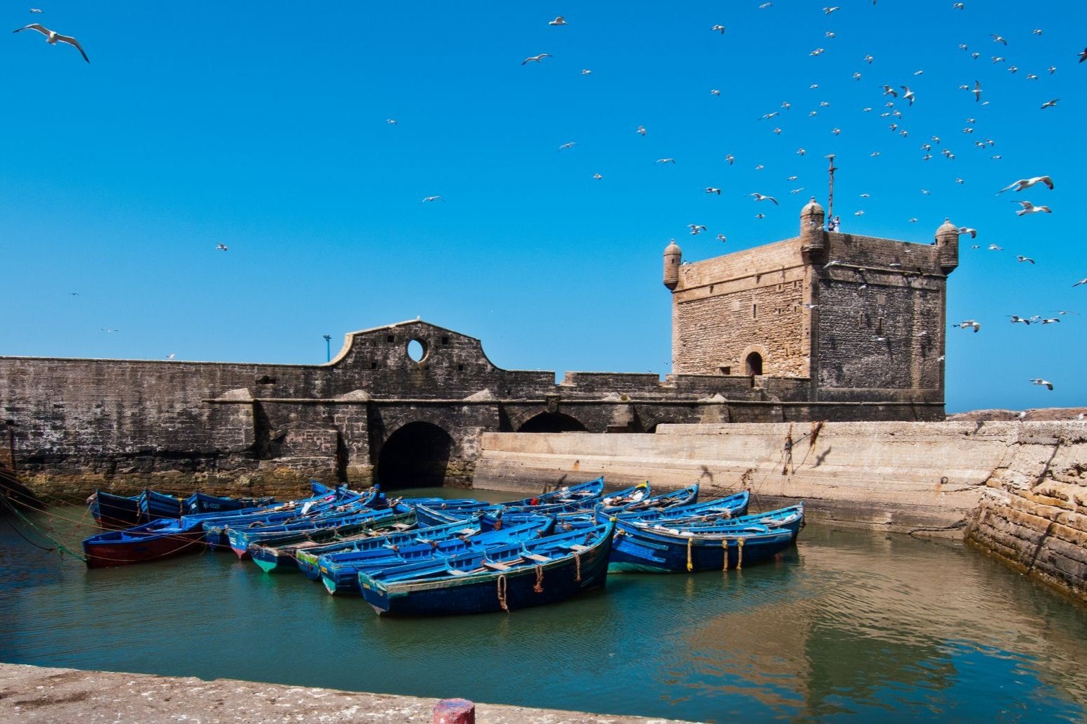 Traditional blue wooden fishing boats docked in the historic harbor basin of Essaouira next to the stone ramparts and the Sqala du Port fortress, surrounded by flying seagulls during a private tour of Morocco.