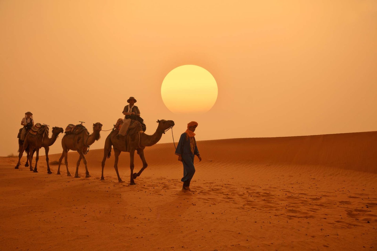 A traditional Sahara camel caravan trekking across orange sand dunes, led by a local guide in a blue robe under a massive golden sun at sunset, during a customized private tour of Morocco.