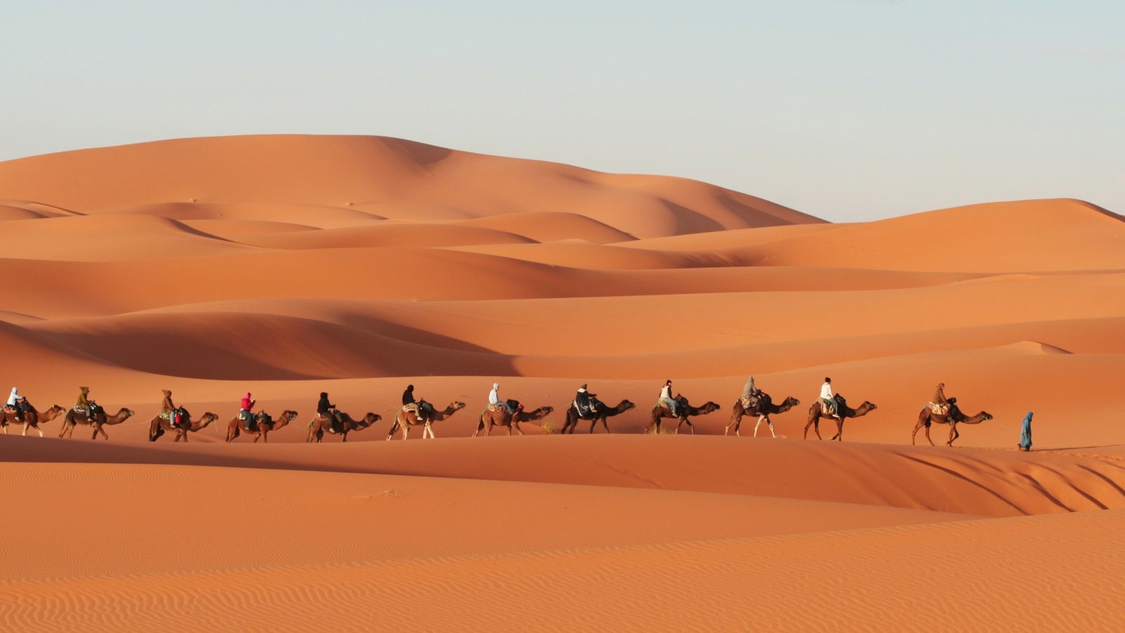 A long line of tourists riding camels in a caravan led by a guide across rolling orange sand dunes in the Sahara Desert under a clear, pale sky.
