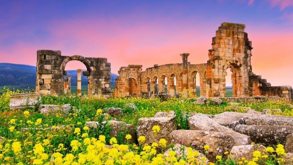 Ruins of the ancient Roman city of Volubilis in Morocco, featuring stone arches, standing columns, and crumbled stone blocks surrounded by a field of vibrant yellow wildflowers under a dramatic pink and purple sunset sky.