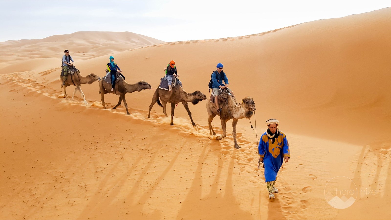 Private Tours of Morocco: Sahara Desert Camel Trek Experience - Rafia Morocco Tours - Rafia Morocco Tours Four travelers on a private tour of Morocco riding dromedary camels in a single-file caravan across the sweeping golden sand dunes of the Sahara Desert, led by an experienced local guide walking in a traditional blue robe.